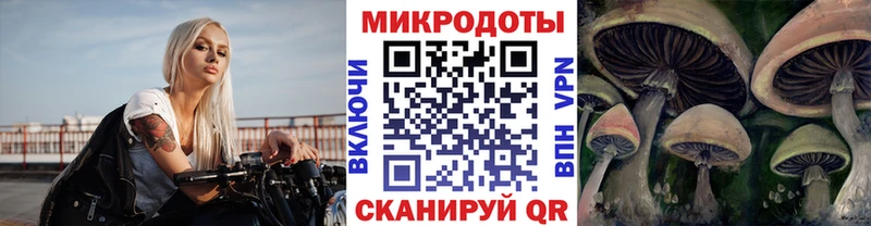 продажа наркотиков  Стародуб  Псилоцибиновые грибы Psilocybine cubensis 